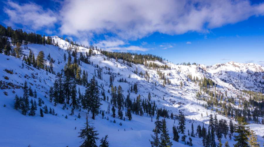 Nossos serviços de aluguel de carros oferecem uma seleção diversificada de veículos em Truckee.